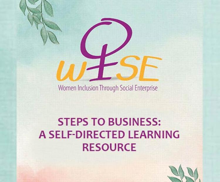WISE Project - Steps to business